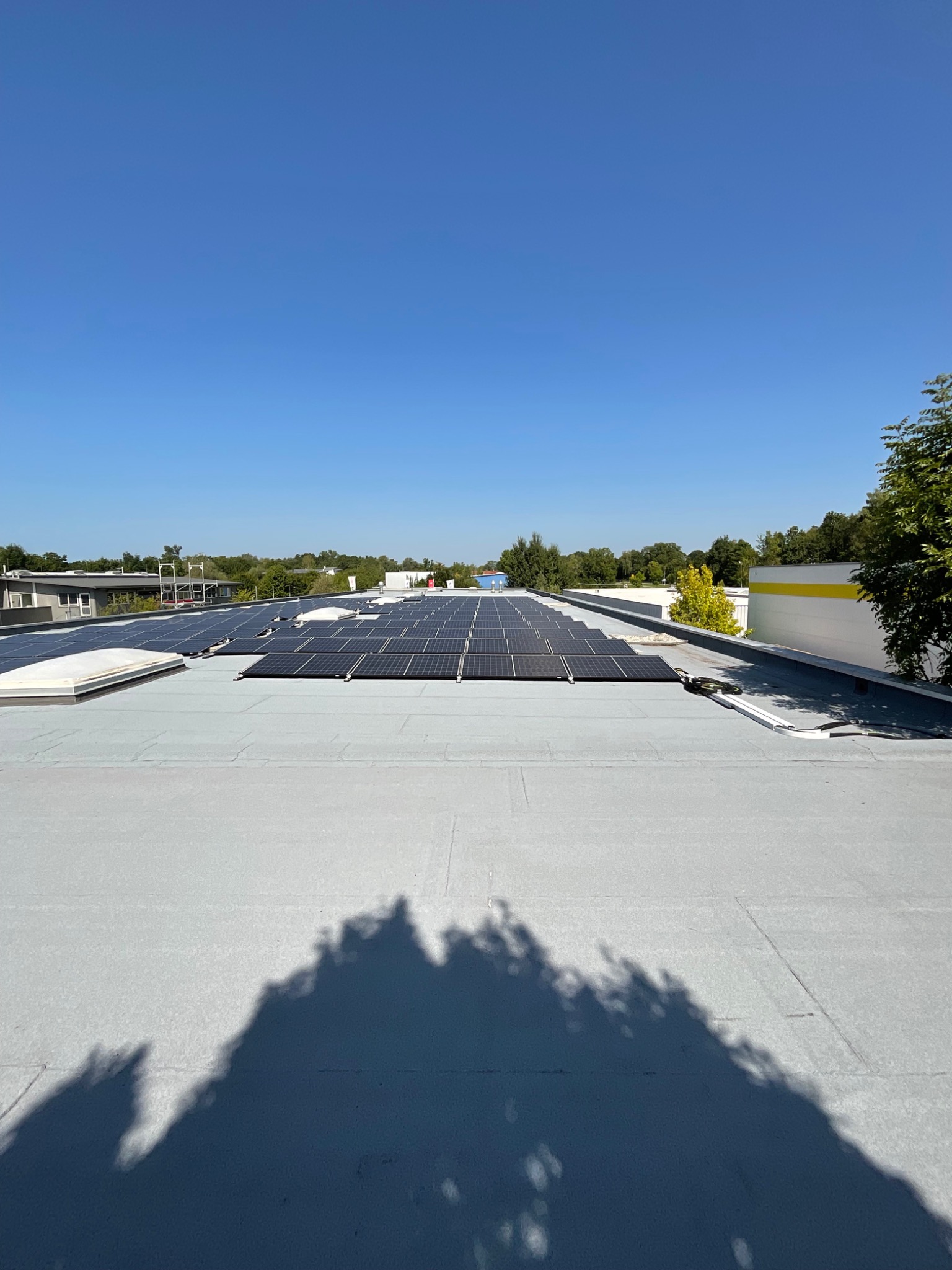 Photovoltaikmodule auf einem Flachdach bei blauem Himmel